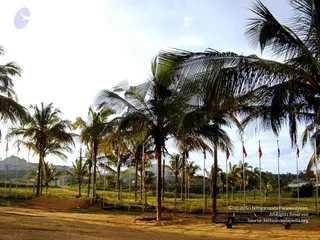 August 26 2007