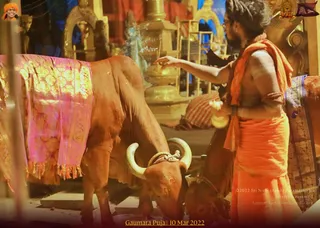 ADIKAILASA on 3/10/2022