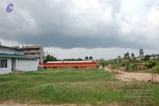 July 09 2010