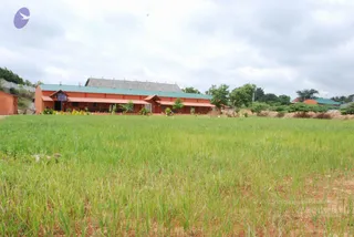 July 19 2010