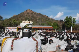 April 17 2011