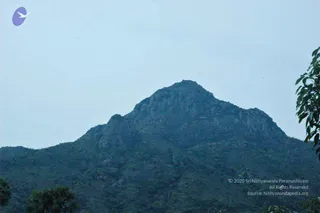 April 01 2008