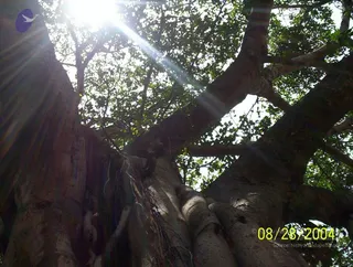 August 28 2004