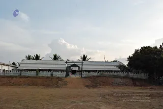 November 20 2008