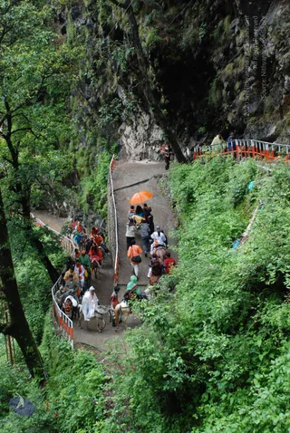 20080630 DSC 0824 CMP WM.jpg