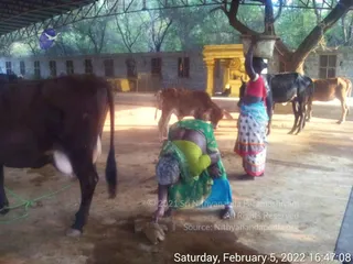 February 07 2022