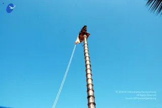 September 30 2008