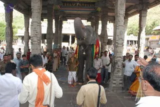 August 06 2009