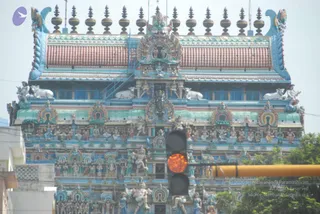 August 11 2009