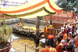 August 01 2011