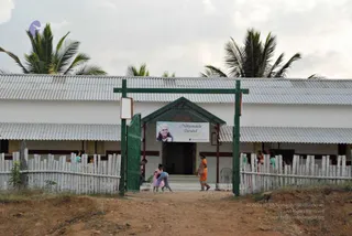 November 20 2008