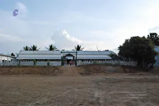 November 20 2008