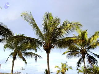 August 26 2007
