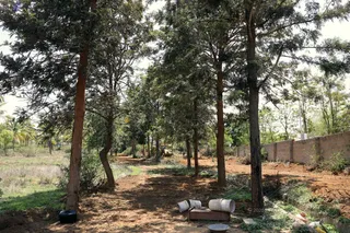 May 10 2018