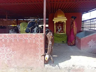 Jan 31 2022 sripuram