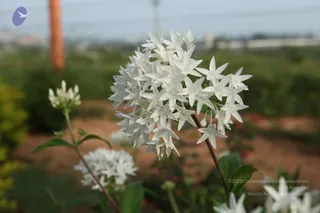 October 28 2010