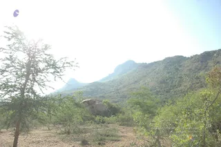 1978 - Tiruvannamalai - InnerGirivala