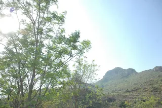 1978 - Tiruvannamalai - InnerGirivala