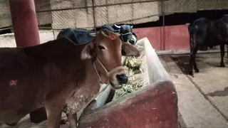 Jan 6 2022 sripuram