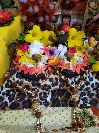 Photo 9923530