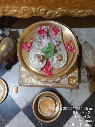 Photo 9923571