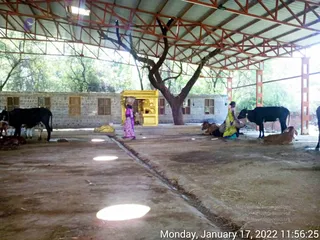 January 17 2022