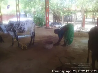 April 28 2022