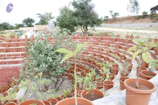 August 08 2011