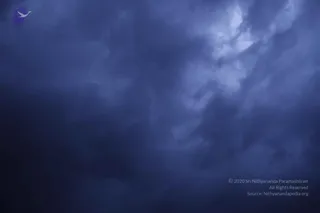 August 10 2011