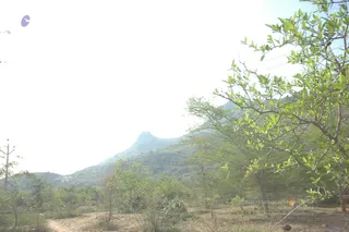 1978 - Tiruvannamalai - InnerGirivala