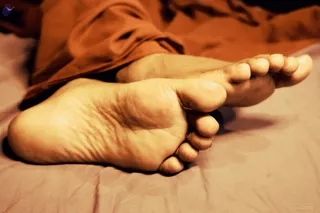 SPH Samadhi 9145849682524433808 n.jpg