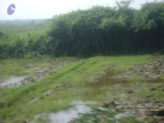 September 2006 - Sindhanur flood relief
