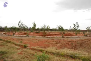 July 14 2009