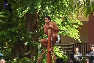 December 11 2015