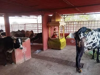 Feb 4 2022 sripuram