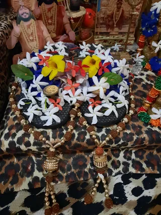 Photo 10327570