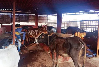 December 29 2021 sripuram