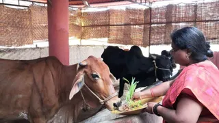 Jan 15 2022 sripuram