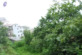 July 08 2008