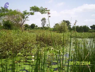 August 28 2004