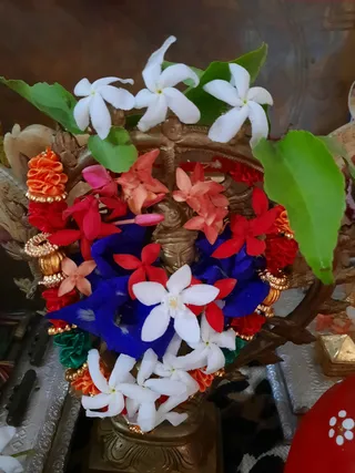 Photo 10327623