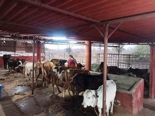 Jan 26 2022 sripuram