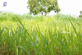 June 30 2010