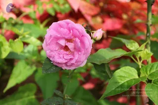 October 28 2010