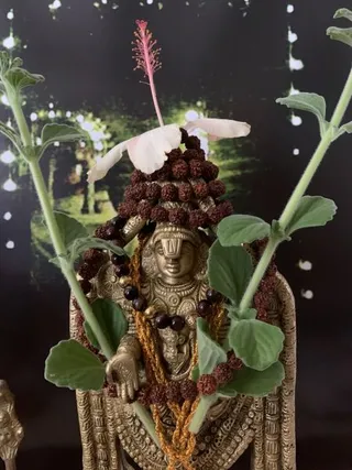 KAILASA LATIN AMERICA on 8/31/2021