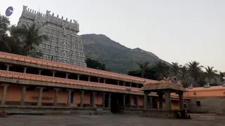 1988 - Ochre Robe Given by Arunagiri Yogishwara