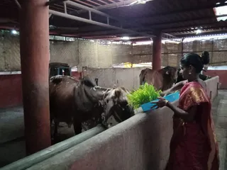Jan 5 2022 sripuram