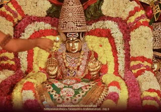 November 17 2021