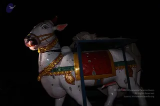July 13 2013