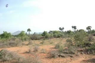 1978 - Tiruvannamalai - InnerGirivala